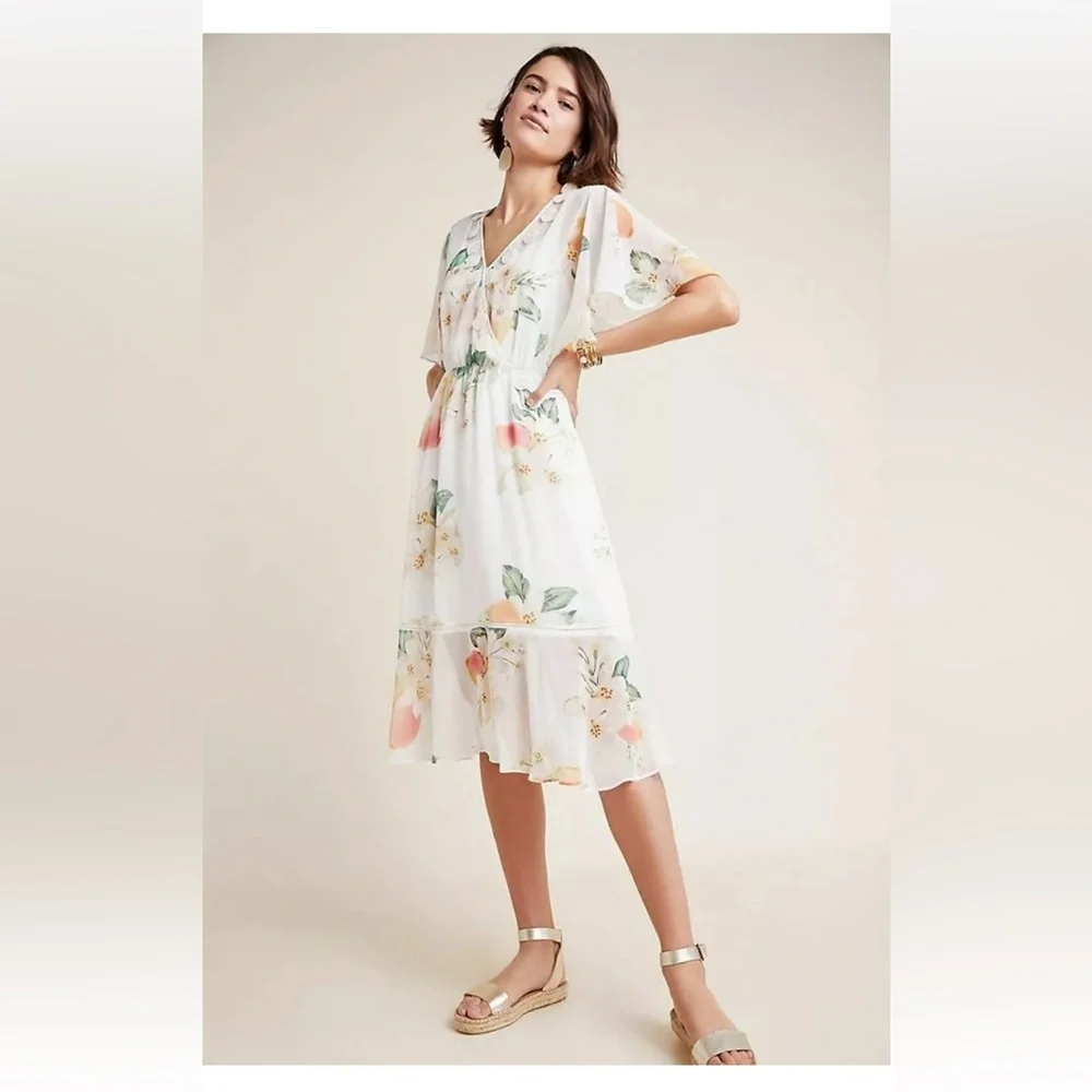 Farm Rio Eloisa Sheer Floral Dress Empire Waist size Small MSRP $280 - Picture 1 of 8